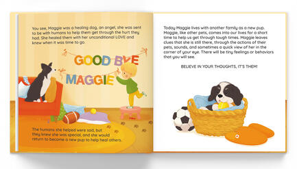 Have you seen baby pigeon book Have you seen baby pigeon book